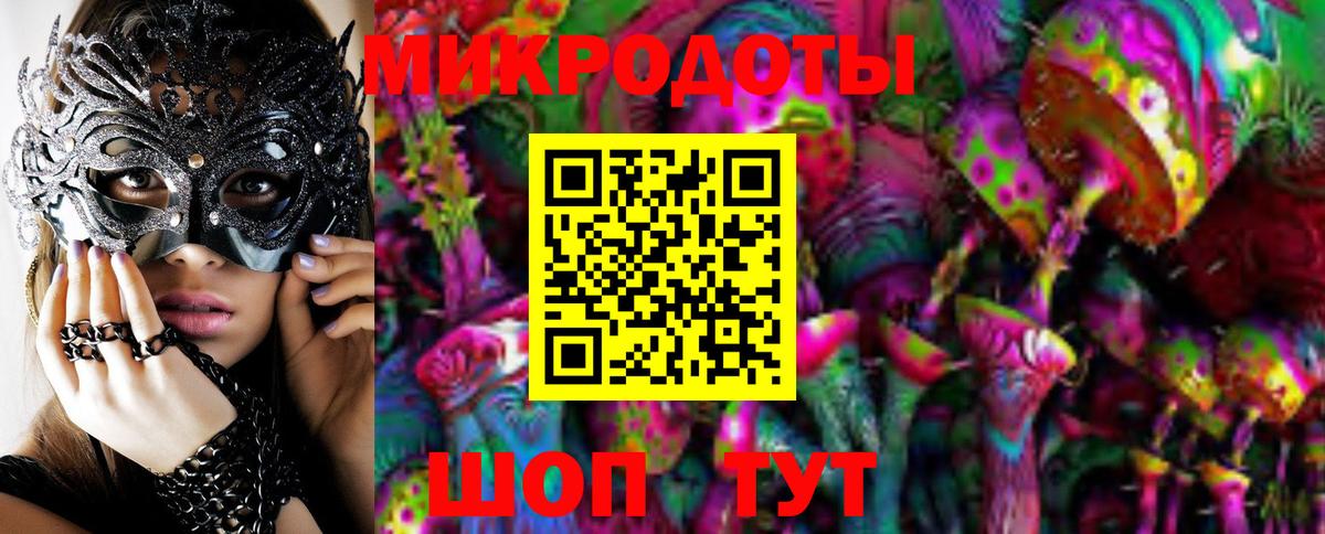 Галлюциногенные грибы Psilocybine cubensis Кстово